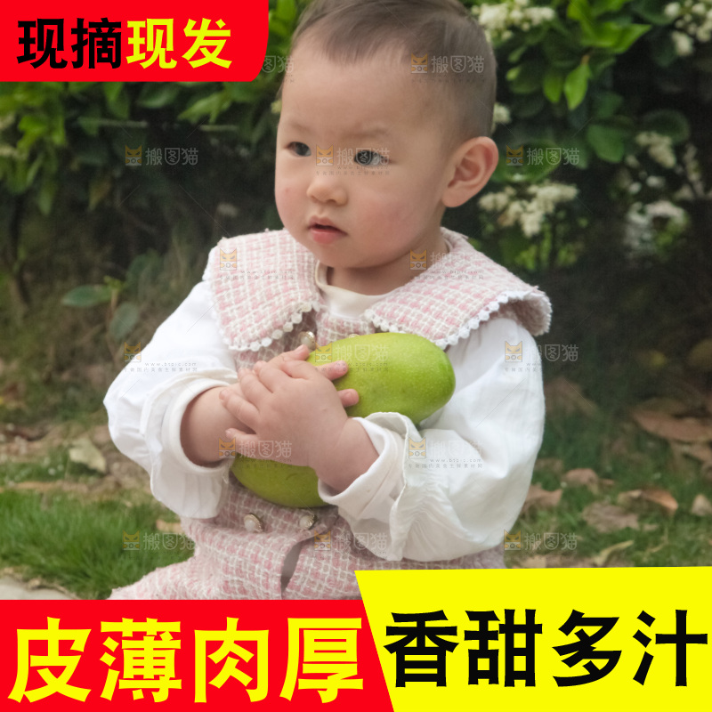 儿童手里抱着大金煌芒