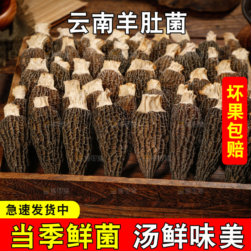一盘山珍羊肚菌
