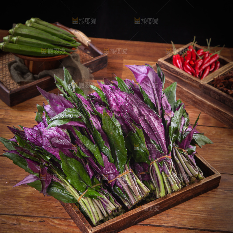 木底上放着一盘紫背天葵