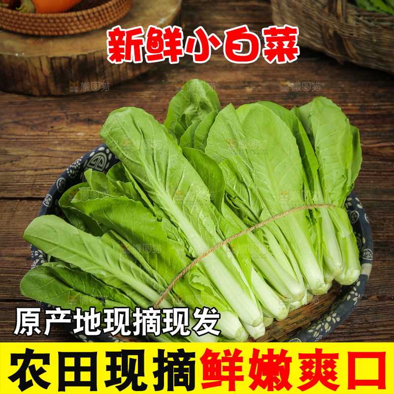 木底上放着一篮小白菜