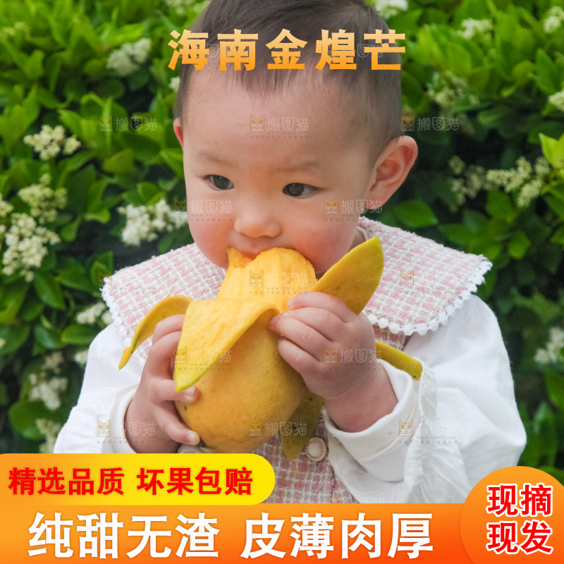 儿童吃着芒果