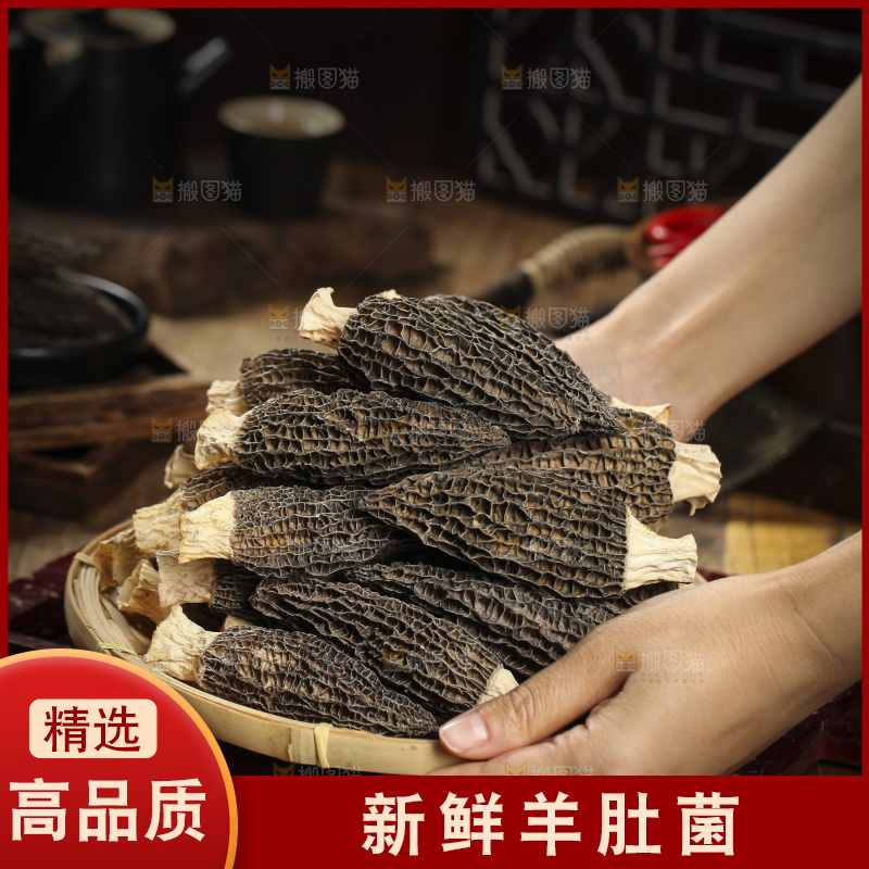 手里端着一篮羊肚菌