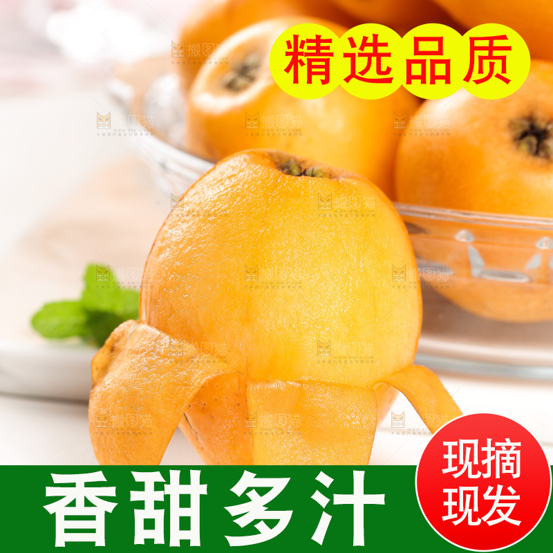 白底上的枇杷
