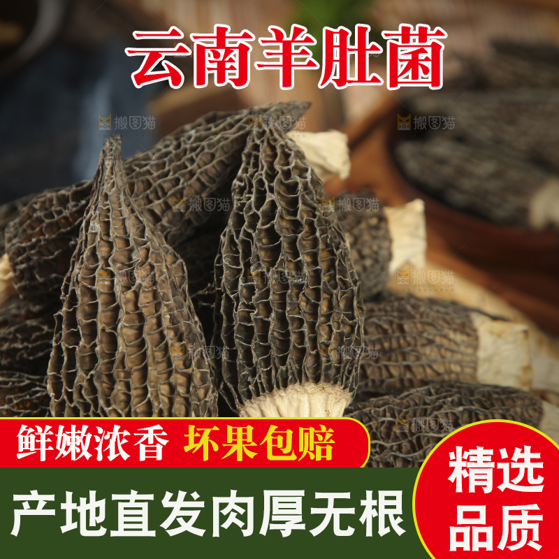 一篮干羊肚菌