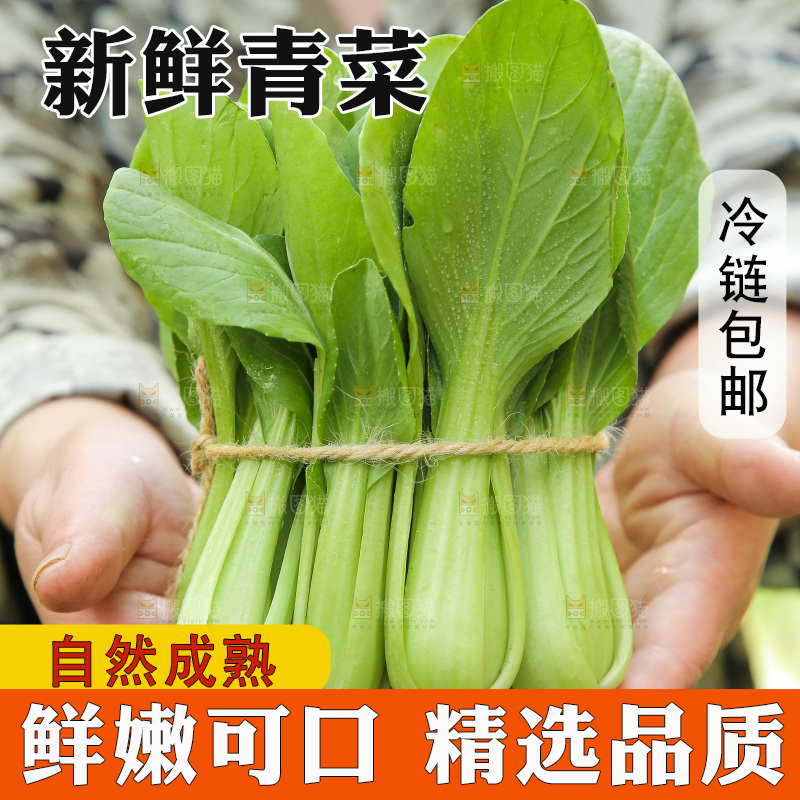 手里拿着上海青