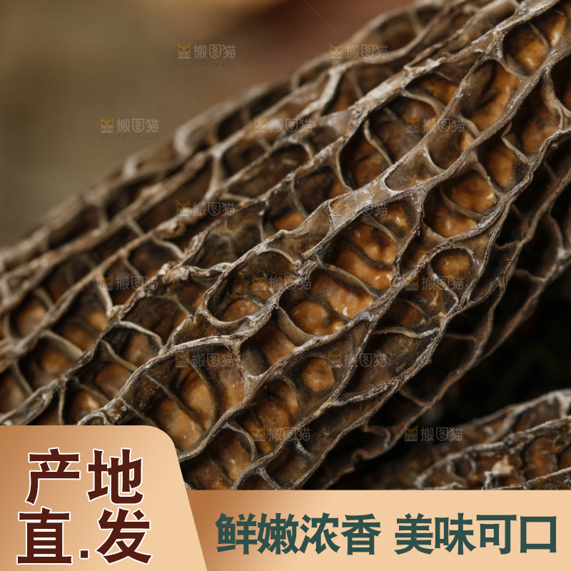 羊肚菌纹理