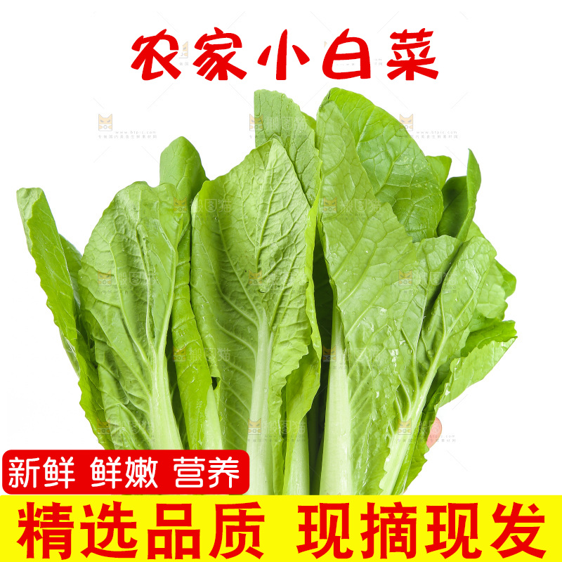 手里拿着青菜