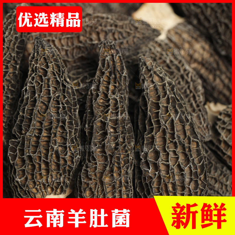 一盘干羊肚菌