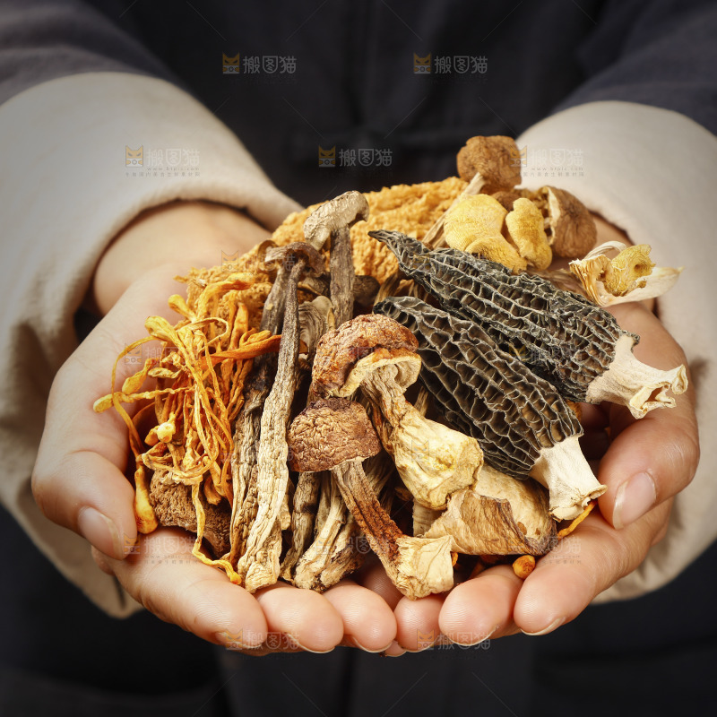 手里捧着八珍菌菇食材