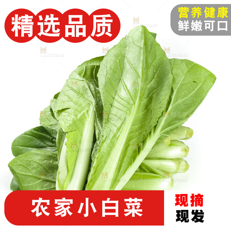 白底上放着小白菜