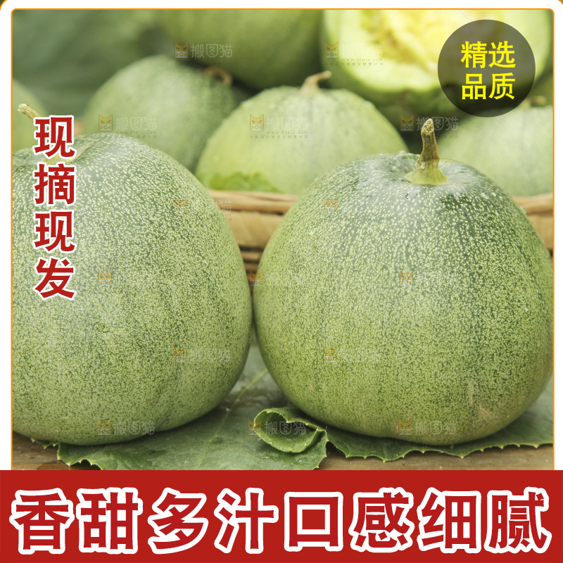 桌子上摆放着绿宝甜瓜
