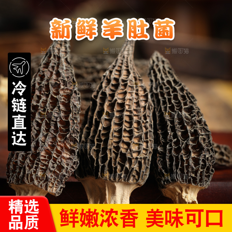 木底上摆放着羊肚菇