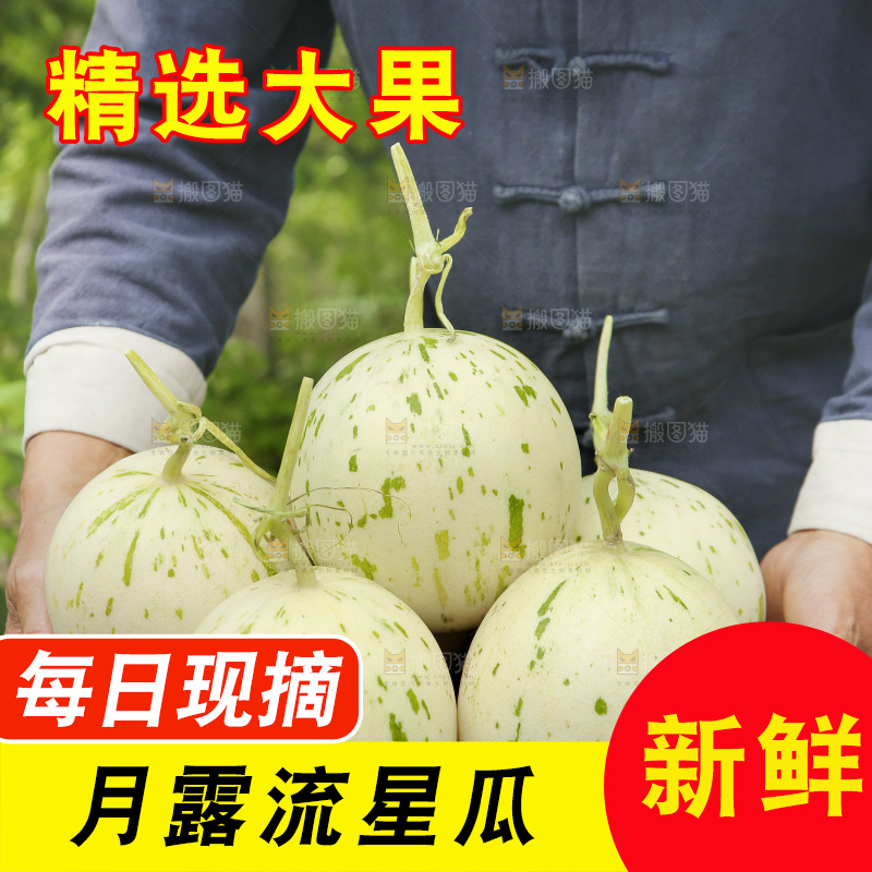 手里端着一篮流星蜜瓜