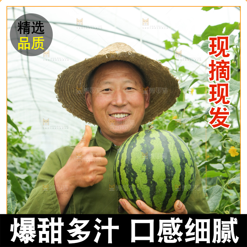 手里抱着个大西瓜
