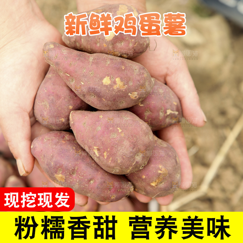 手里捧着天目山鸡蛋薯