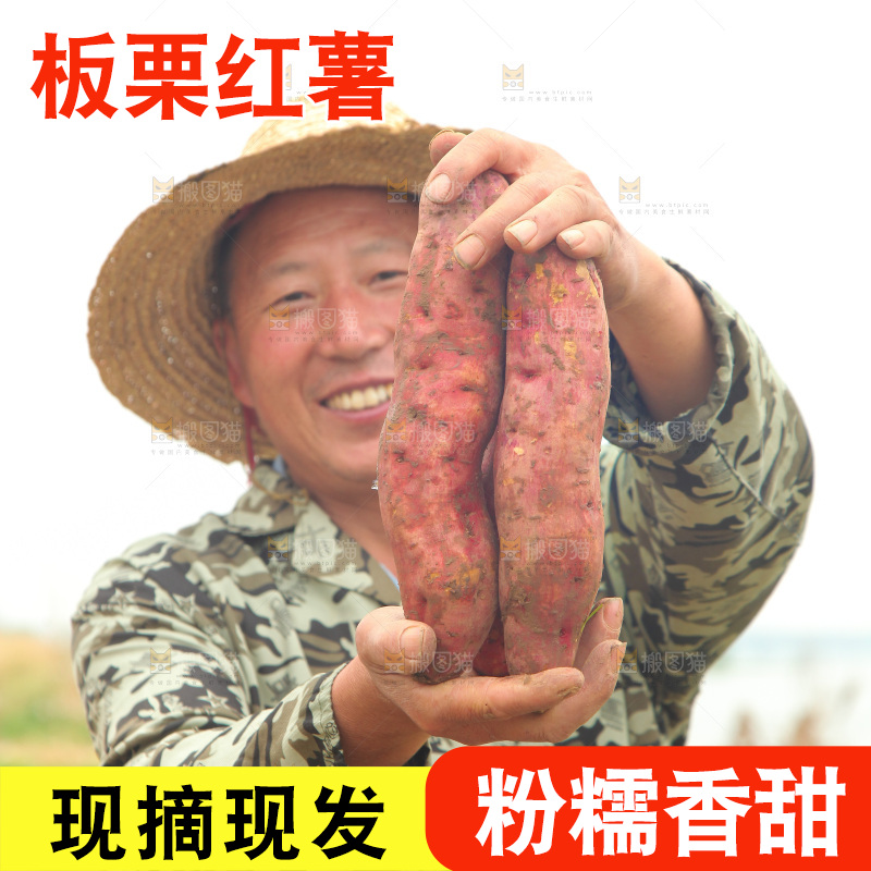 手里拿着板栗薯