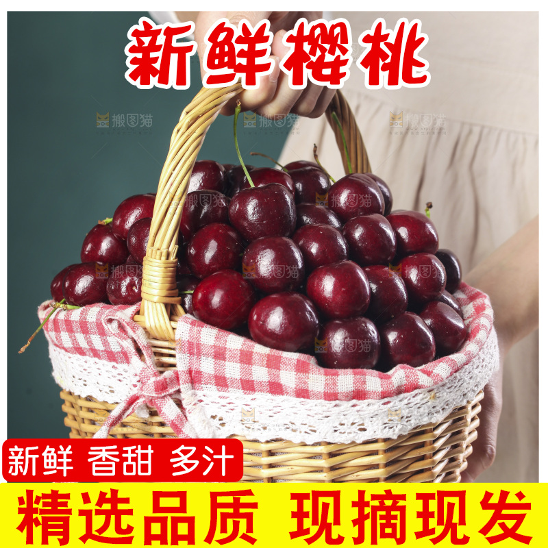 手里提着一篮新鲜大樱桃