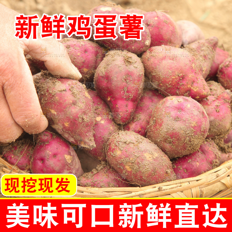 一篮临安鸡蛋薯
