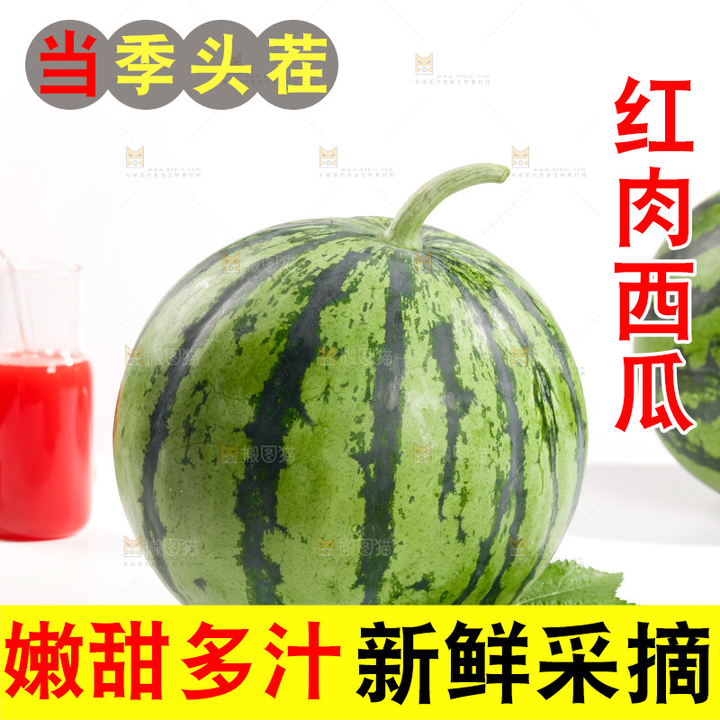 白底上放着麒麟西瓜