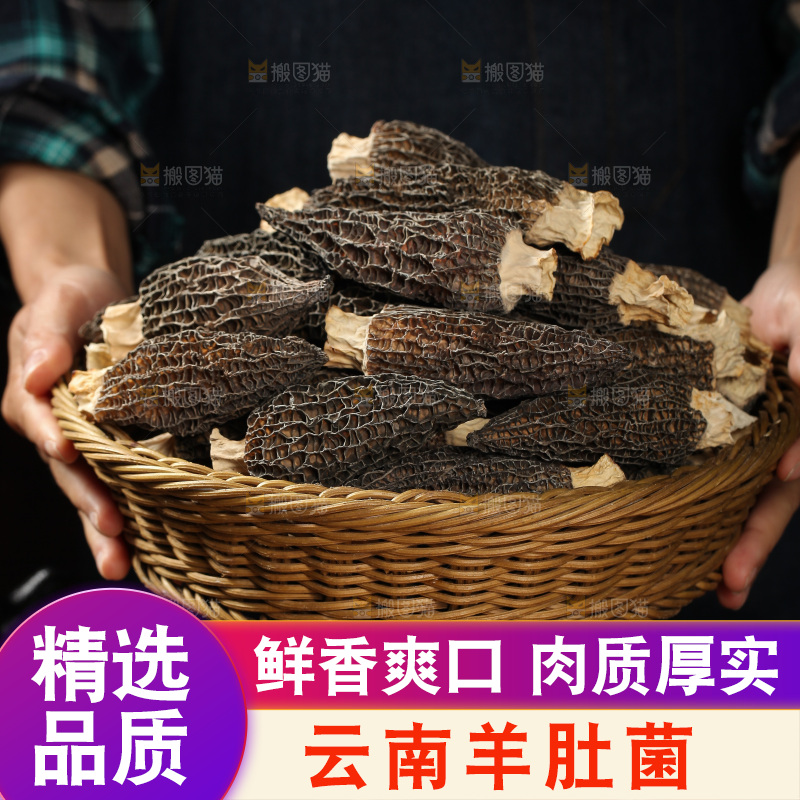 手里端着一篮羊肚菌