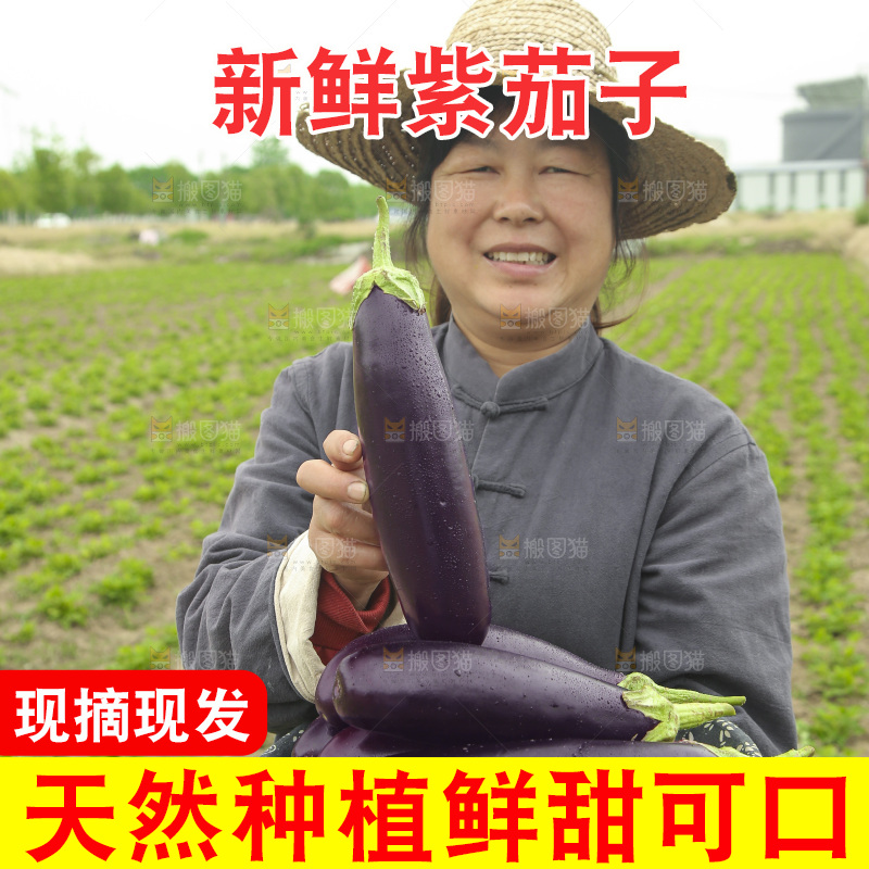 手里端着一篮长茄子