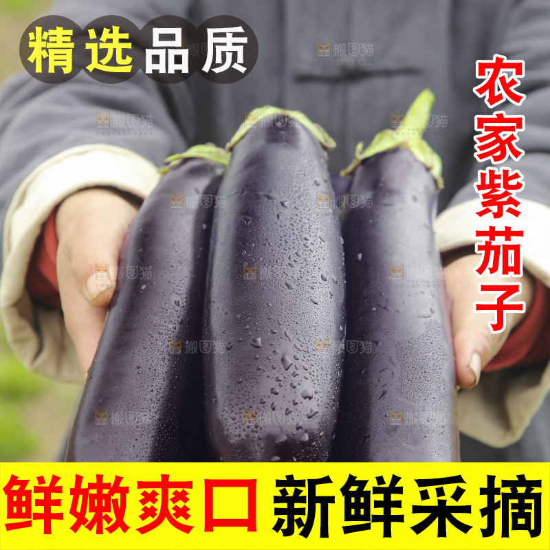 手里捧着长茄子