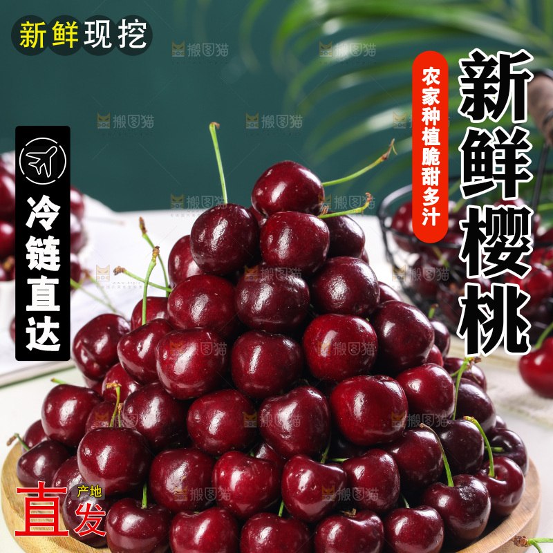 一堆山东大樱桃