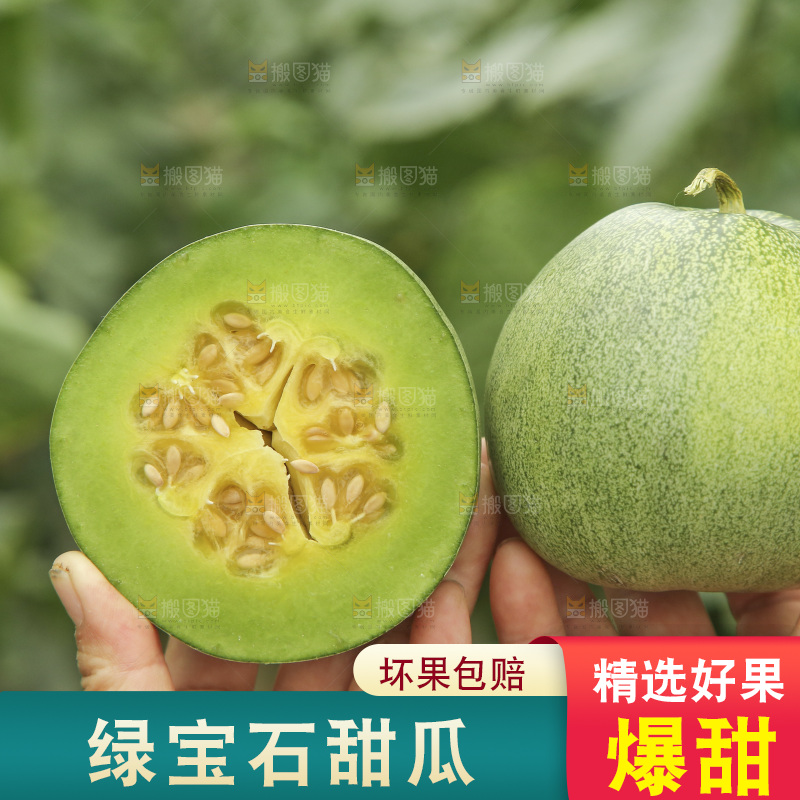 手里拿着绿宝甜瓜对比