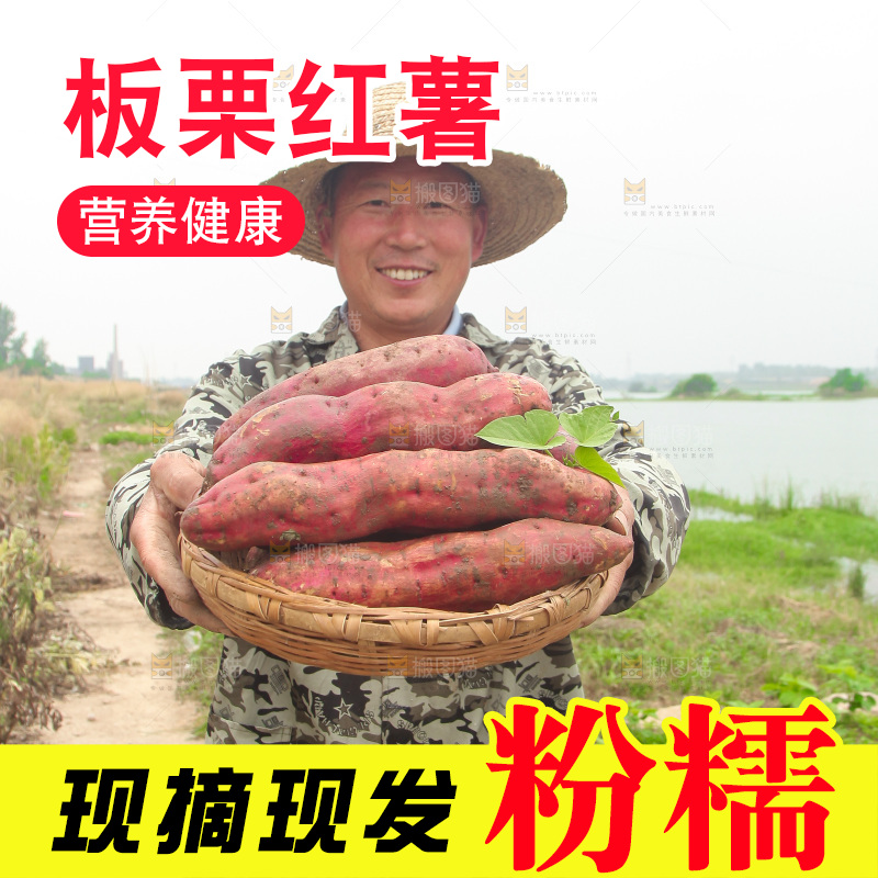 手里端着一篮板栗薯