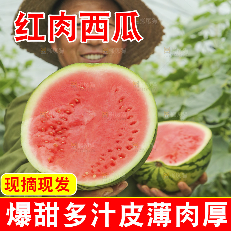 手里拿着切面的冰糖西瓜