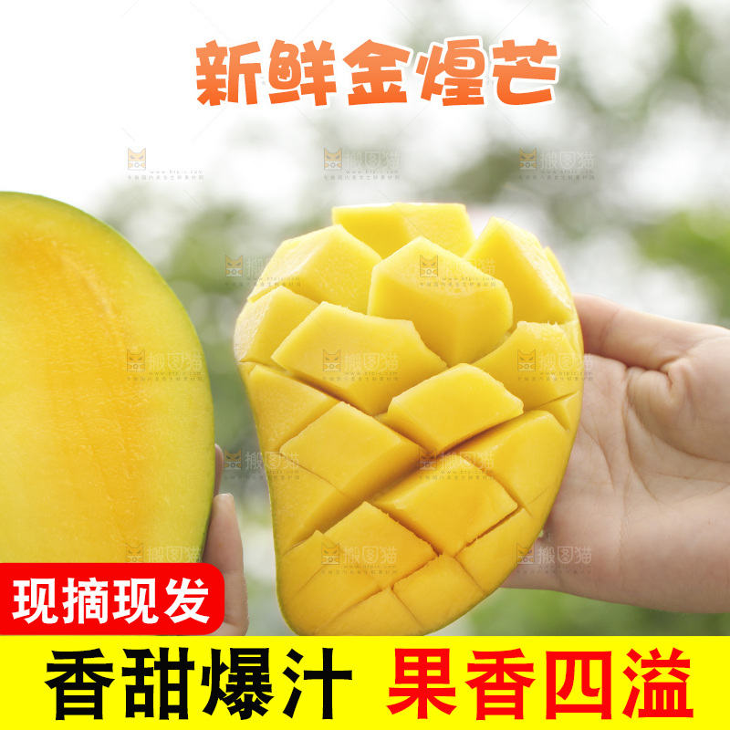 手里拿着水仙芒