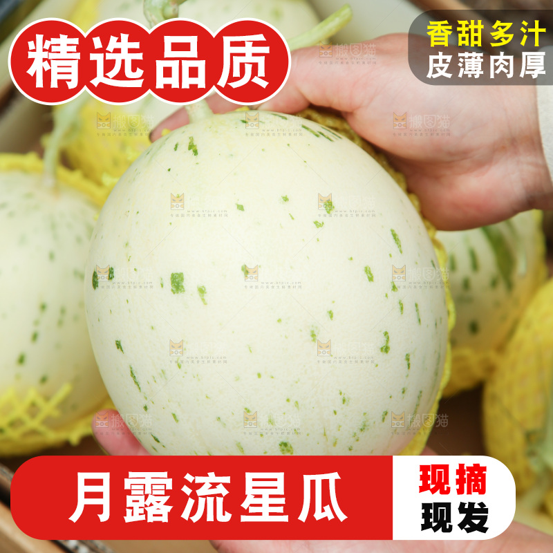 手里拿着月露流星蜜瓜