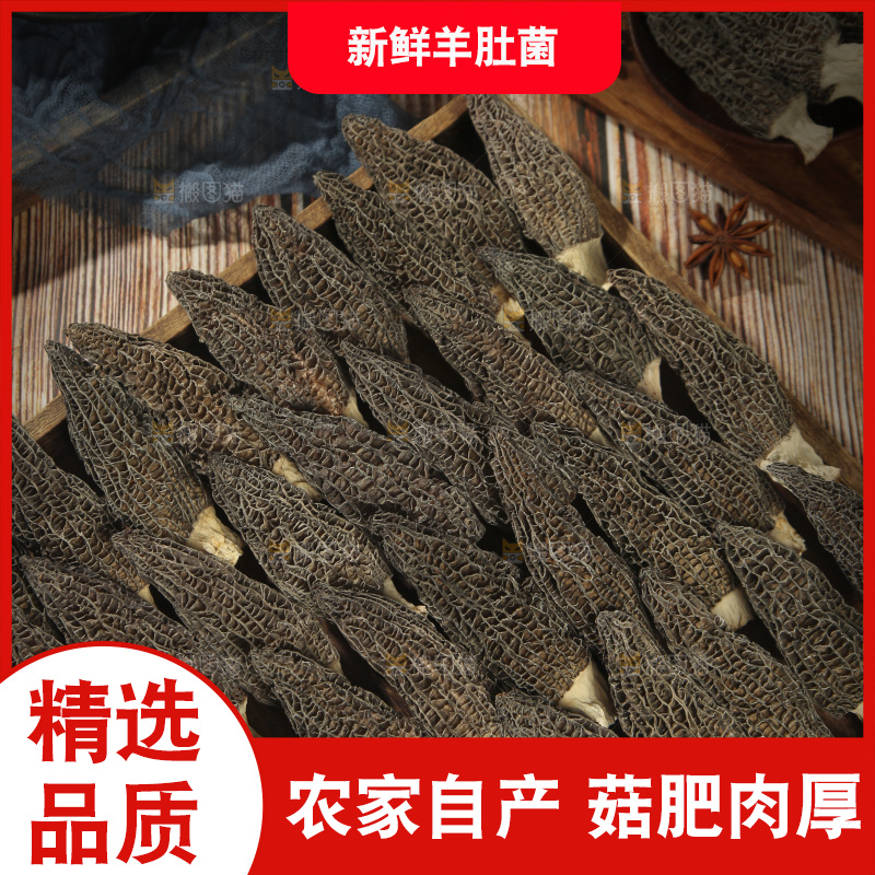 一盘羊肚菌