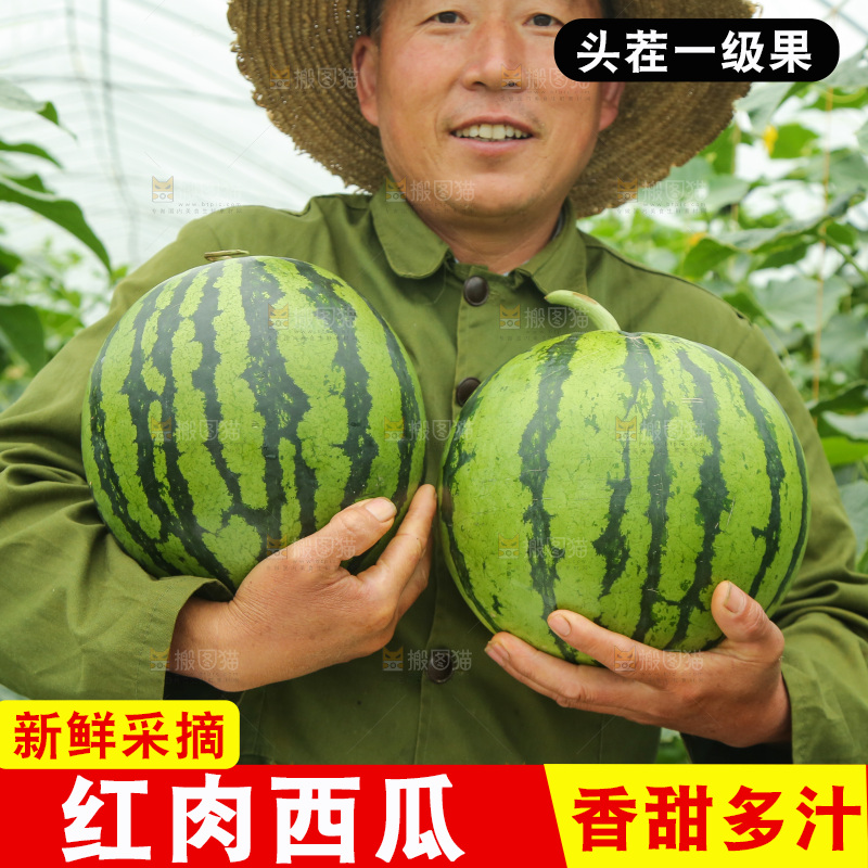 手里抱着麒麟瓜