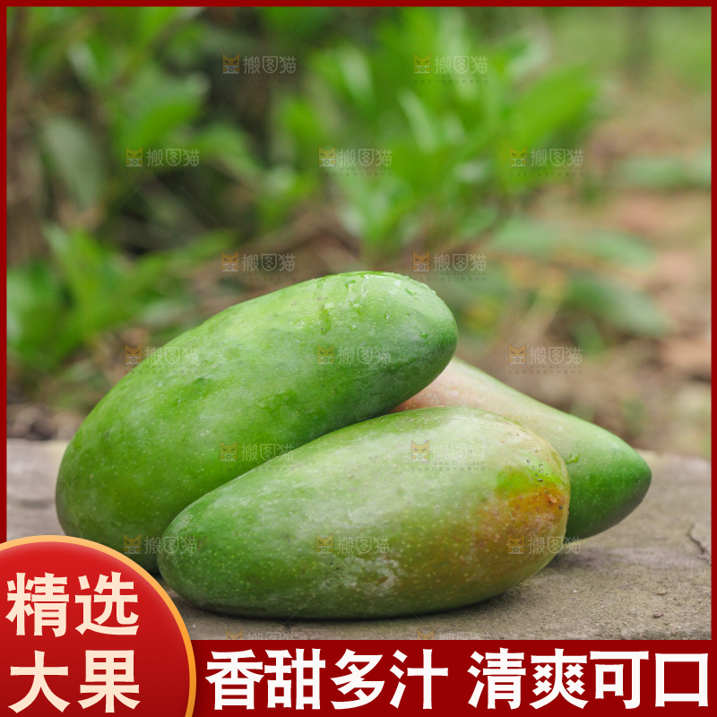 新鲜的青皮金煌芒