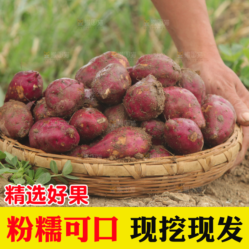 手里端着一篮新鲜鸡蛋薯