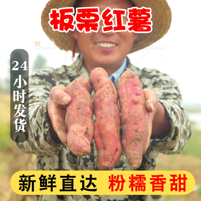 手里拿着板栗薯