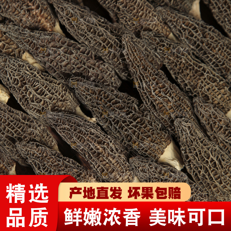 羊肚菌纹理