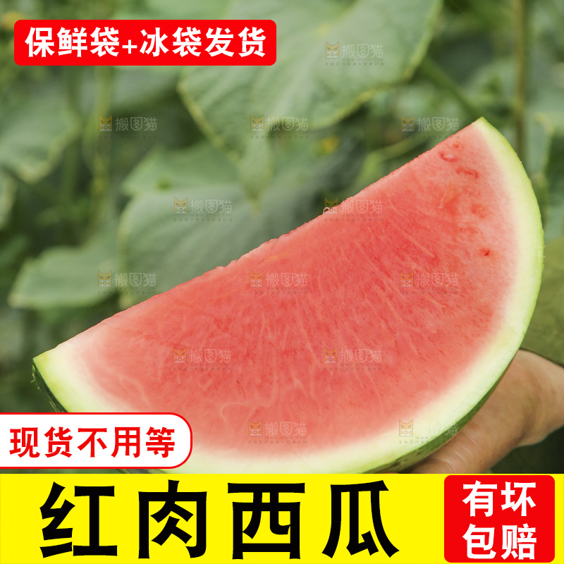 手里拿着红肉西瓜