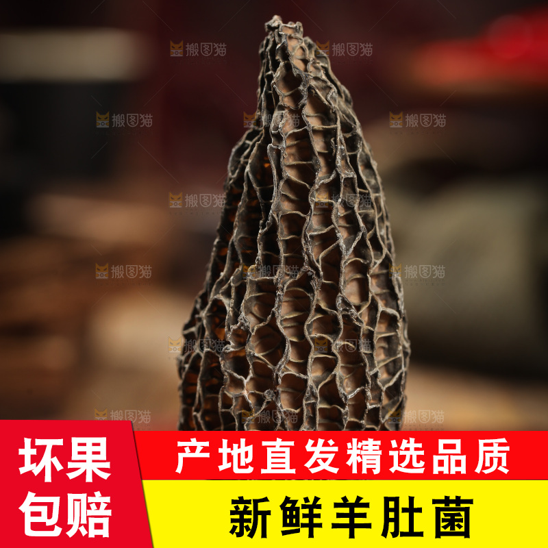 木底上放着羊肚菌