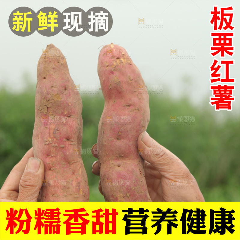手里拿着板栗红薯