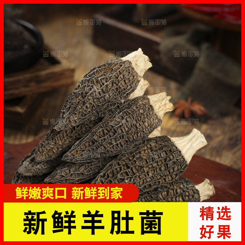 一堆干羊肚菌