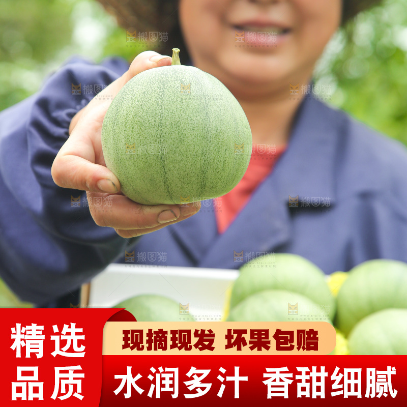 手里拿着绿宝石甜瓜