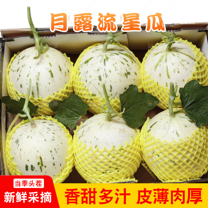 白底上放着一箱月露流星蜜瓜