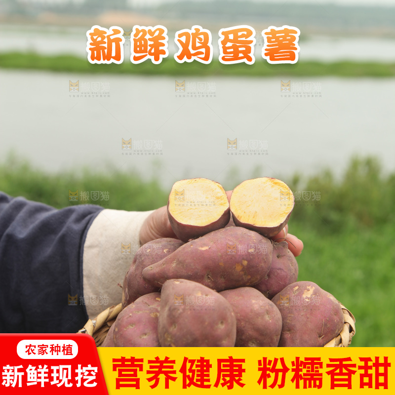 手里端着一篮临安鸡蛋薯