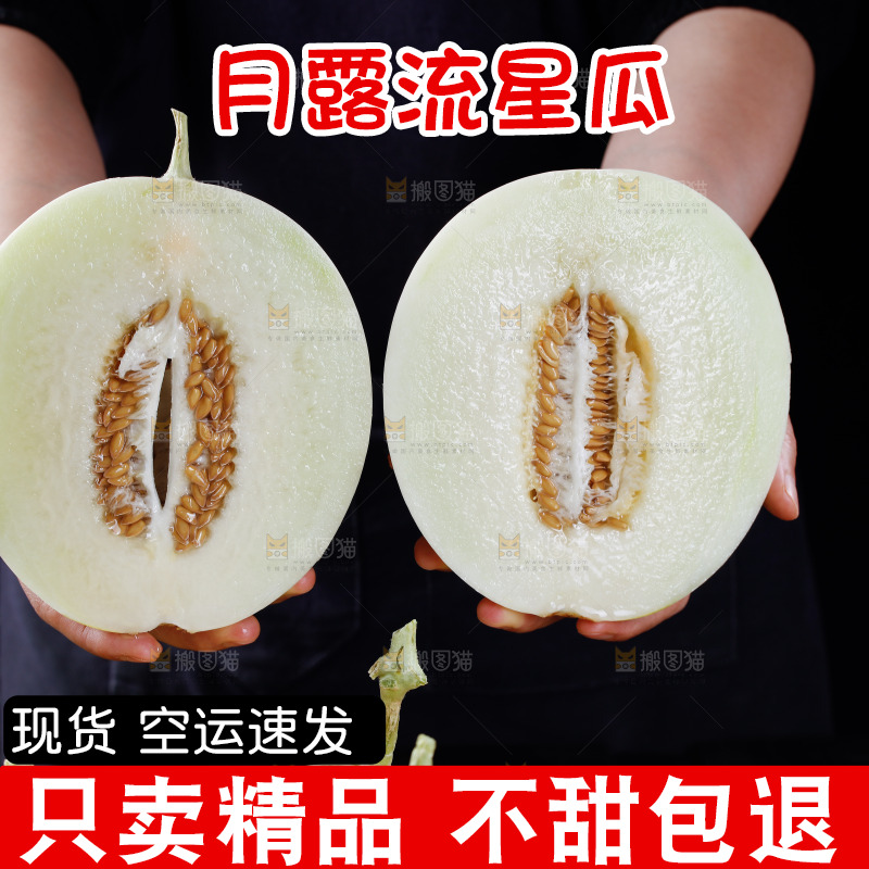 切面的月露流星蜜瓜