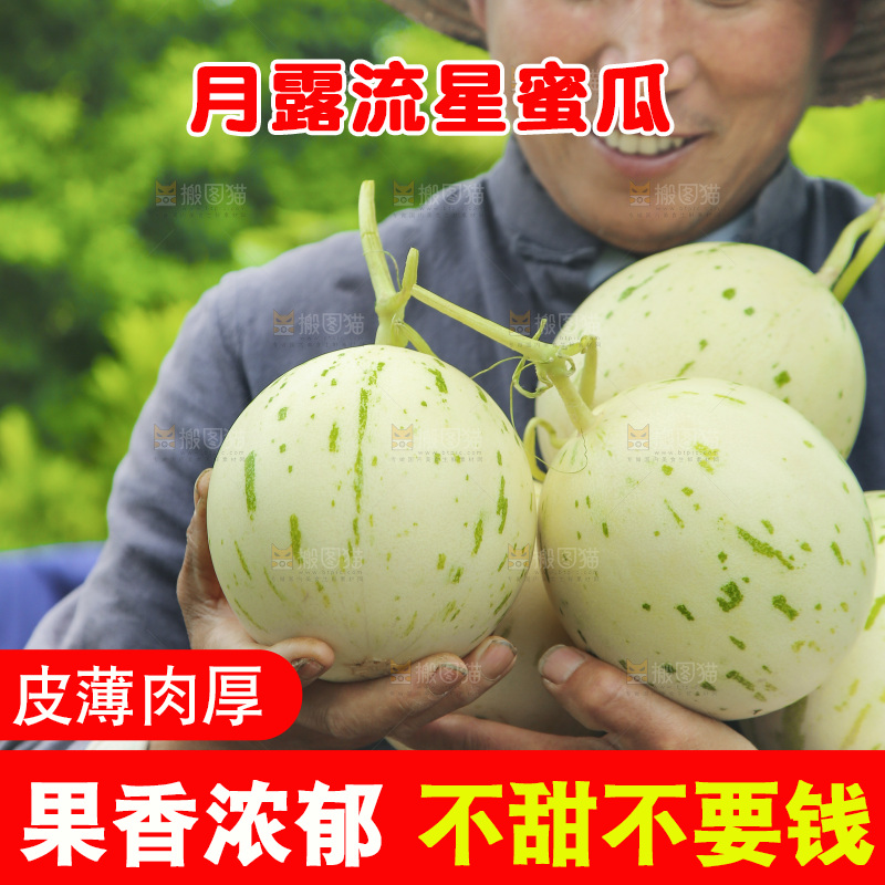 手里抱着月露流星瓜