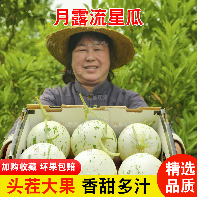 手里端着一箱月露流星蜜瓜