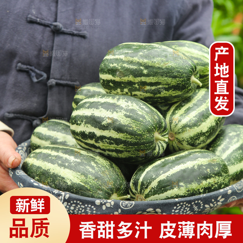 一篮博洋9号甜瓜
