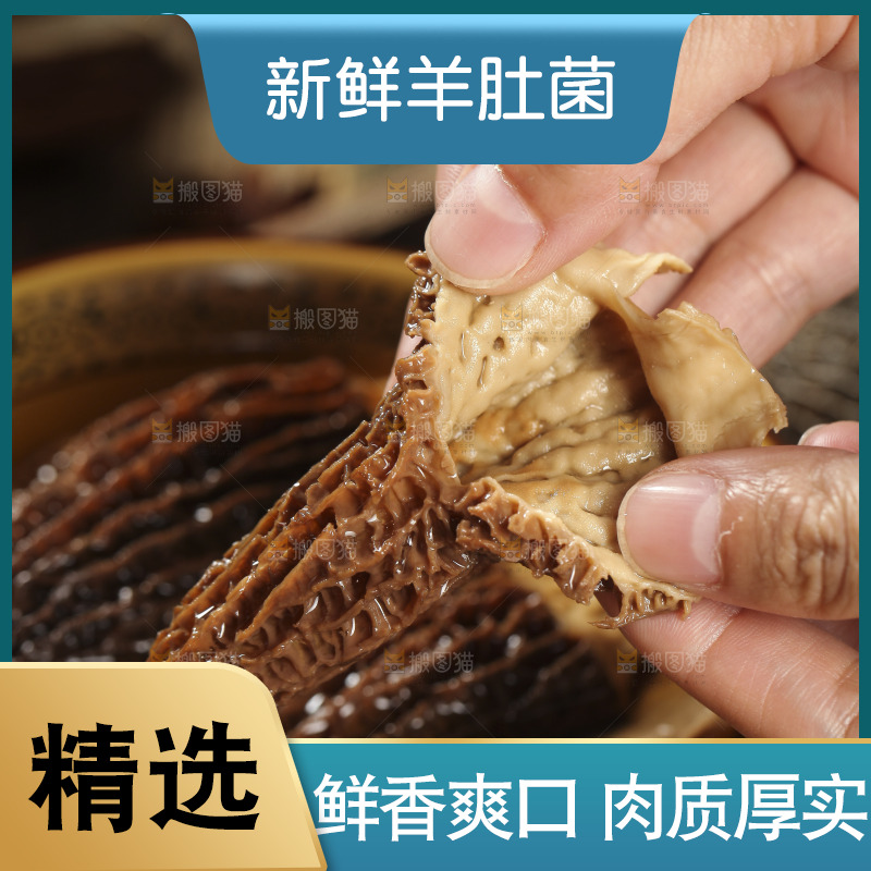 手里拿着羊肚蘑